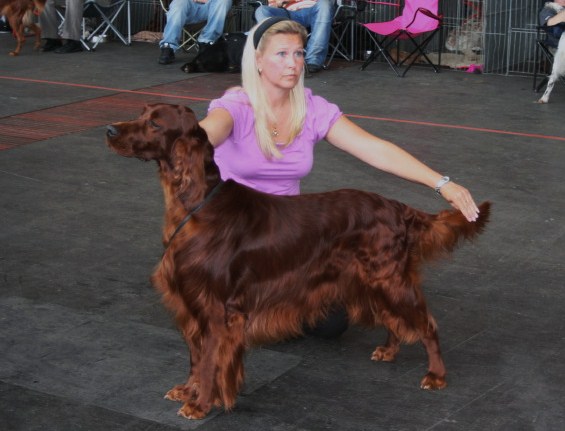 Zigge 4 �ppenklass hanar Bremen 09