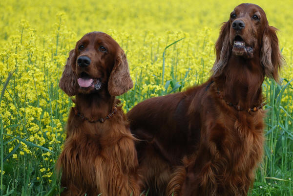 Fanny & Filippa, Filippa är en stolt mamma!