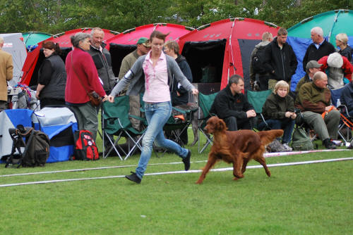 Moa Ballerup2010