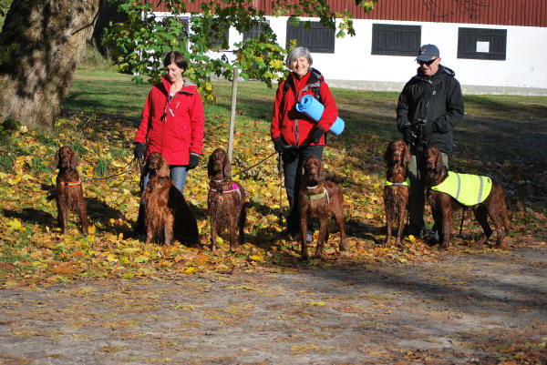 P2 oktober 2011