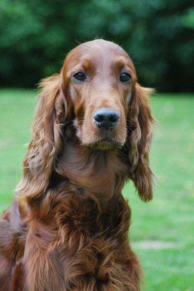 Wilma 25/6-2011