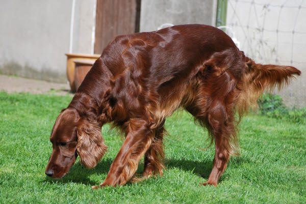 Wilma 25/6-2011