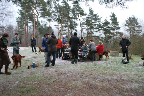 En del av gänget