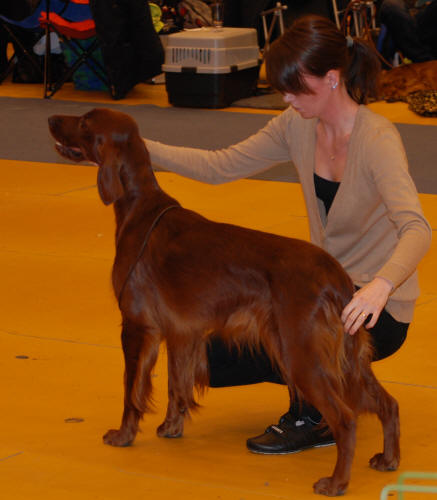 Moa och Emma