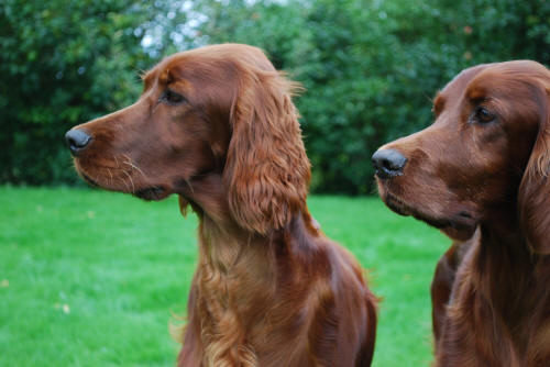 Bella och Filippa
