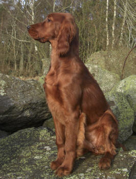 Bella 4,5 m�nad