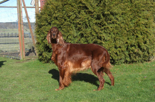 Filippa 6 1/2 år