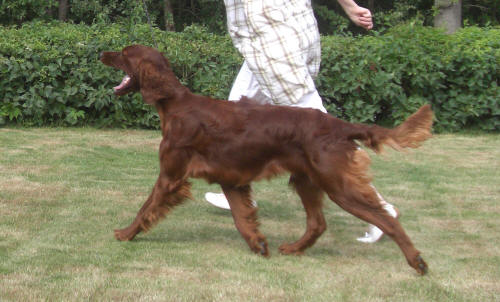 Bella 9 m�nader