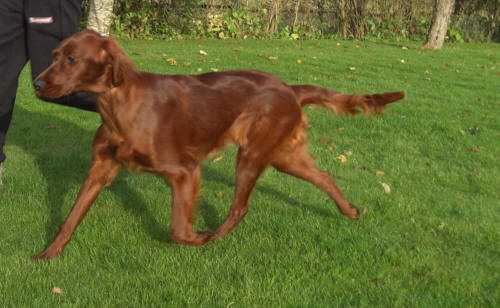 Moves very freely!