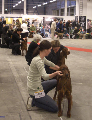 Moa i Malmö JKK-R