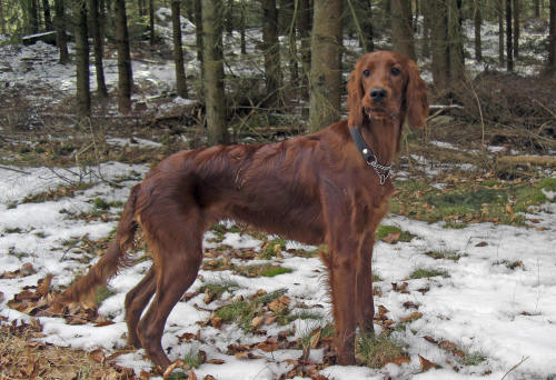 Teas dotter Wilma 6 månader
