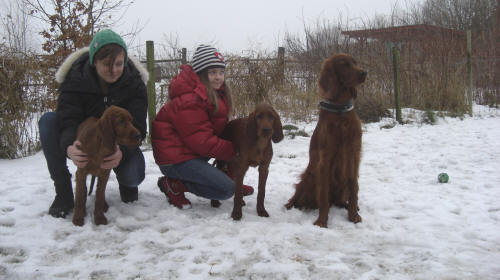 Klara & Johanna tillsammans med från vänster Bella, Wilma och Tea